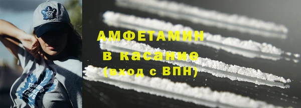 сатива Гусев