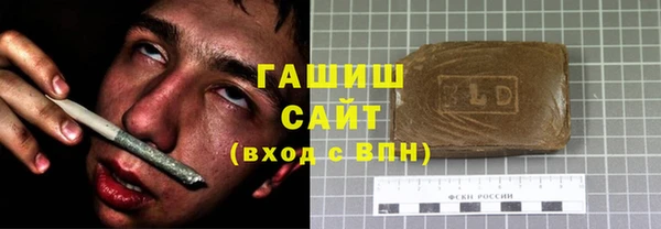 сатива Гусев