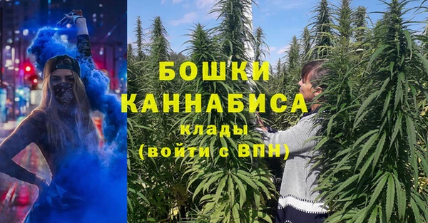 сатива Гусев