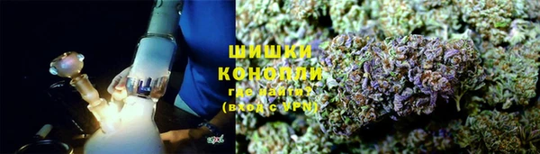сатива Гусев