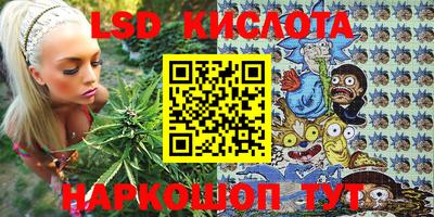 прущие грибы Заволжье