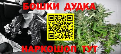стафф Дубна